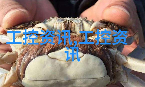 货车配件批发市场专业货车配件的批发交易场所