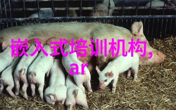 研究开题报告撰写服务价格与质量的平衡点