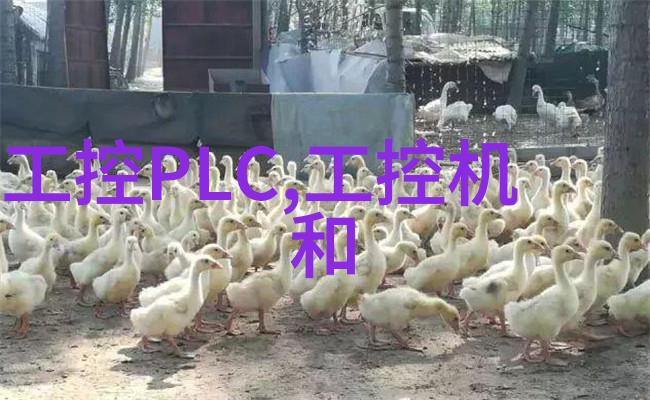 秘密教学全集结局揭晓免费观看完整版