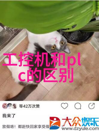 干燥设备公司创新技术让物料更干更好