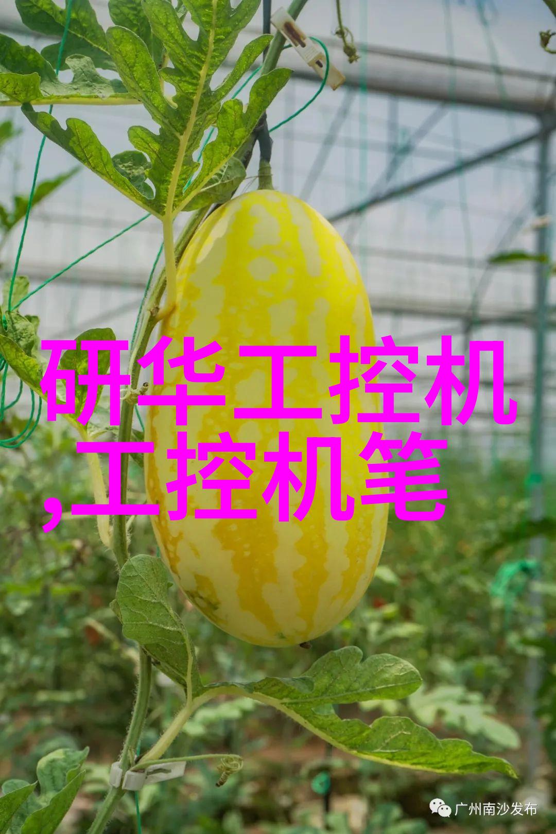 上海别墅装修设计我在这座美丽的城市找到了我的小天地一处梦寐以求的别墅等待着我们一起打造成家的乐园