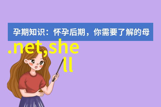 空白之城毛坯房装修图的诗意探索