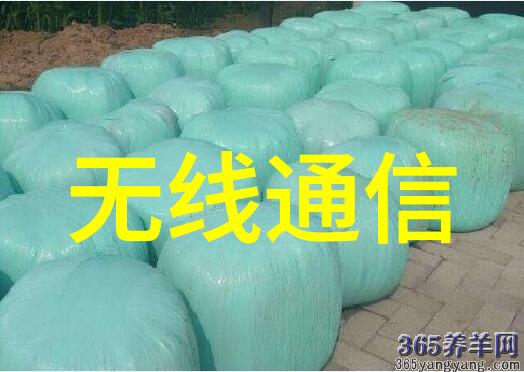 经济实惠不失美观这些装修成果用了什么材料怎么既省钱又保持了高雅的气质