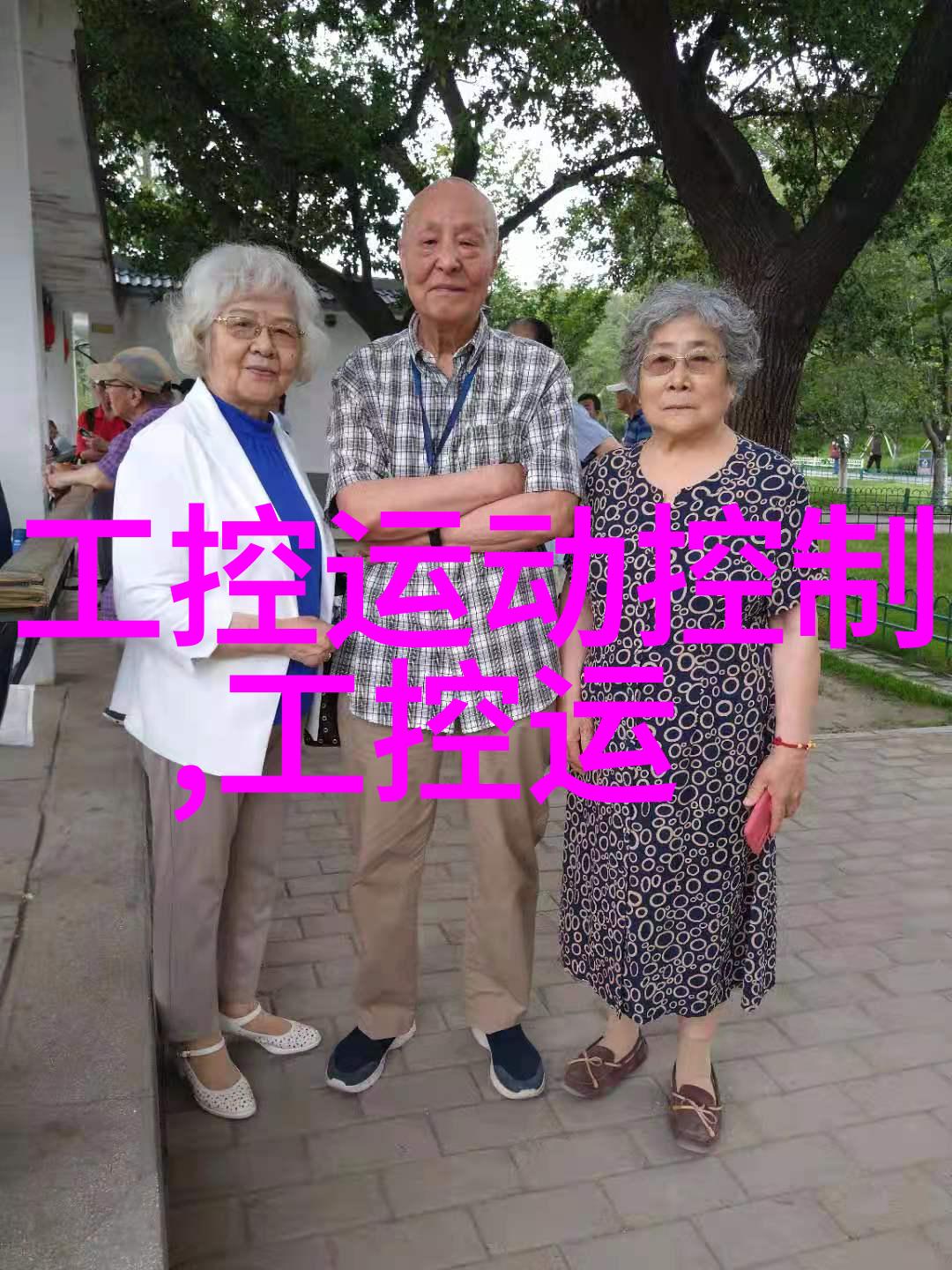 月光下的阅读之旅长月无烬原著免费探索