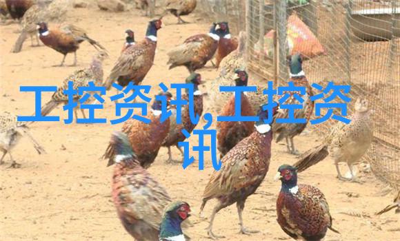 重新发现日常利用设计本进行视觉记录与反思