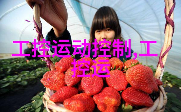 生物安全柜-微尘封锁揭秘生物安全柜的工作原理与应用