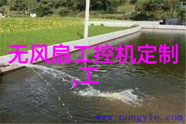 食品安全新篇章辐射杀菌技术的应用与未来