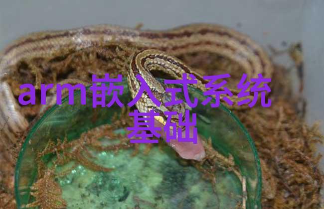 微波真空干燥设备维护与保养技巧总结