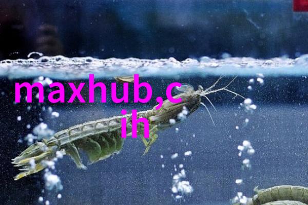 办公室装修设计从简约到奢华反差风格创意空间