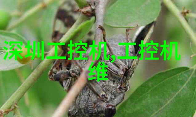 财经与文化融合山东财经大学东方学院的独特魅力