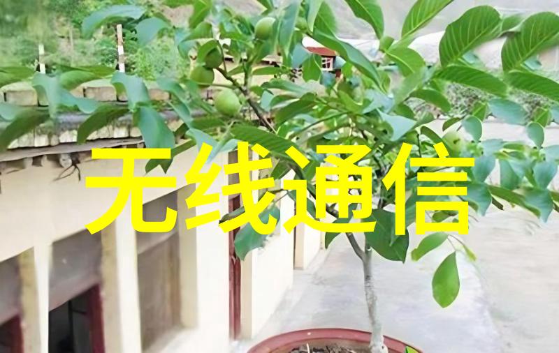 小客厅大变身7个实用装修妙招让你一目了然