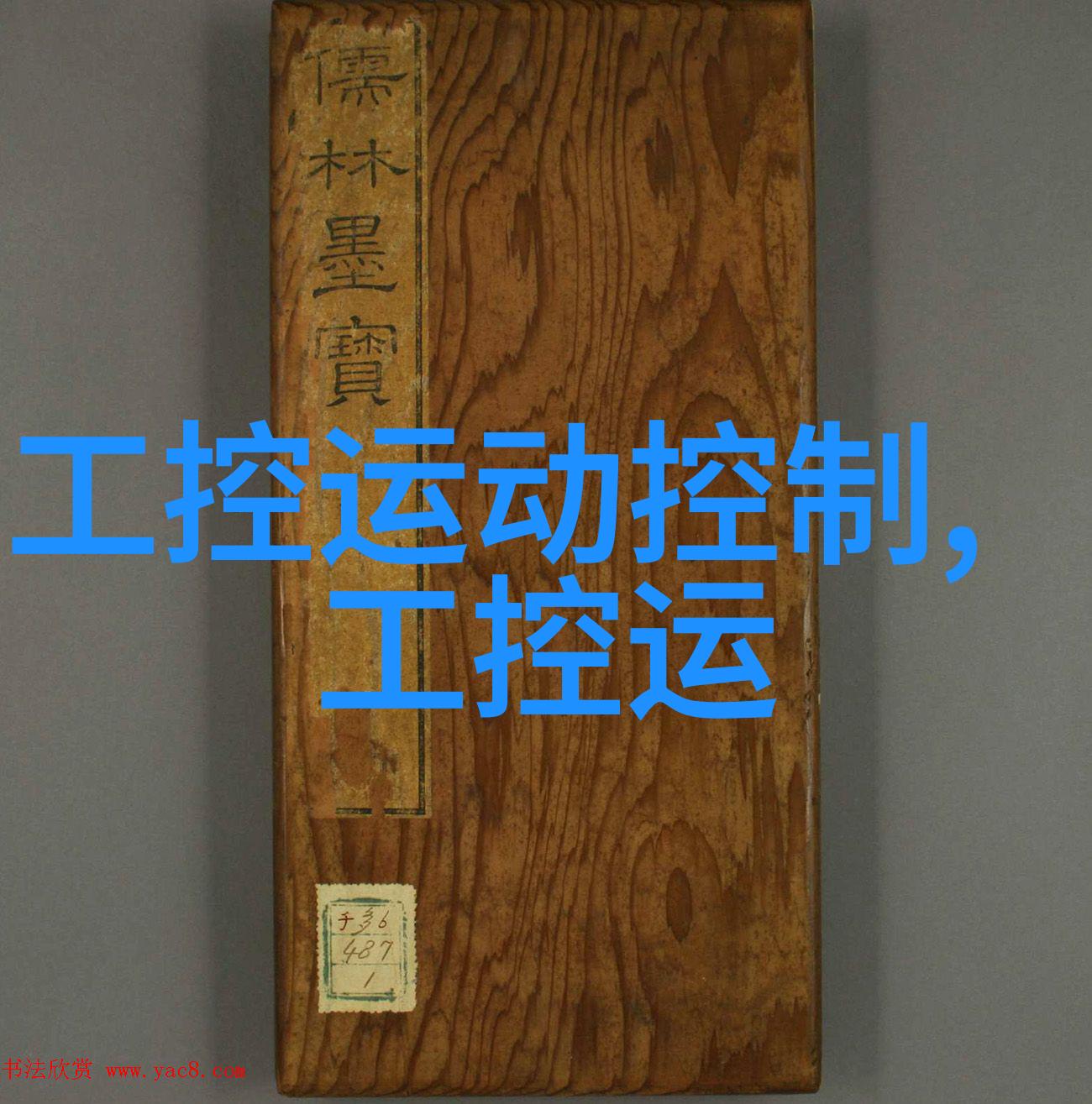 人与畜禽共性关系的重要性跨越物种的联系与理解