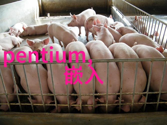 今日市场动态304不锈钢价格走势