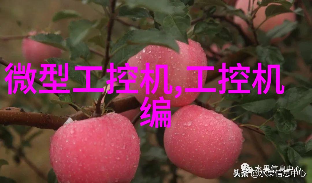 探秘狂仙之路穿越幻境的孤傲者