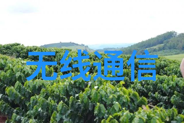 在进行基因编辑技术时什么样的PCR仪对研究者来说最为重要