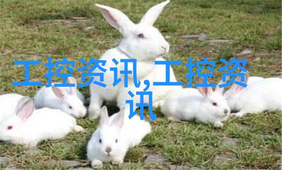 主题你可能不知道的十六种人格类型介绍图揭秘自己和朋友们的隐藏面纱