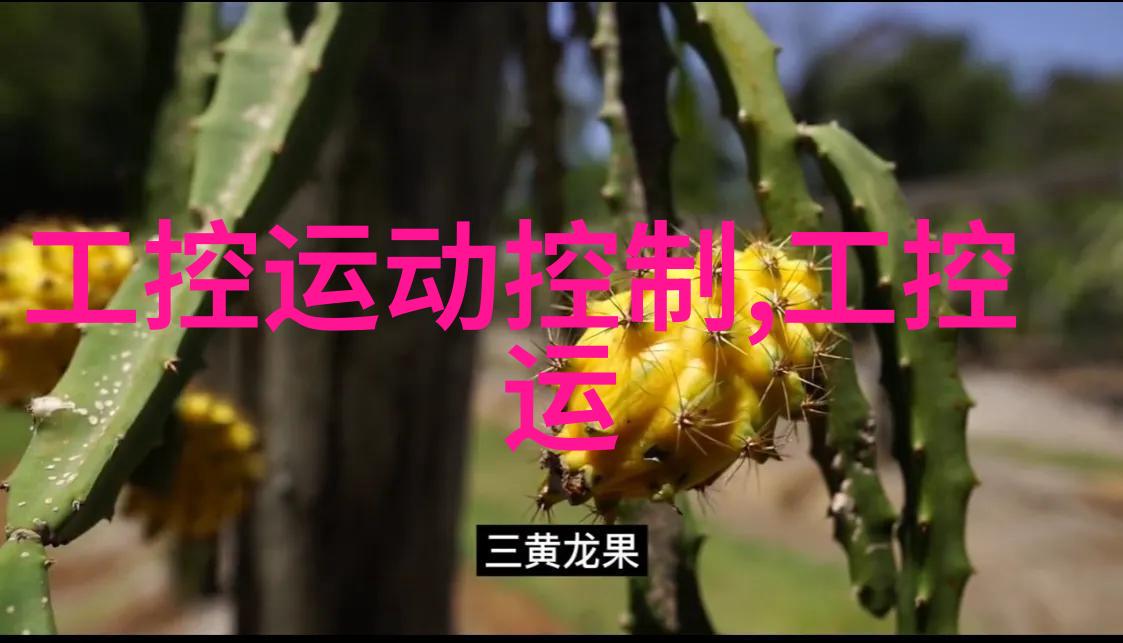 饮料灌装机械流线型未来探索现代食品加工行业的瓶颈解决方案