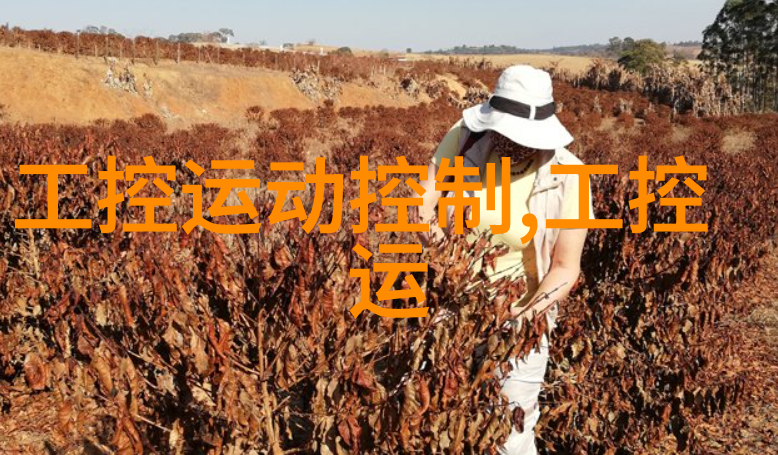 巧思妙计小平米卫生间干湿隔断设计艺术