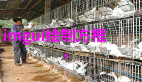 装修小窍门100妙招家居美化的智慧宝典