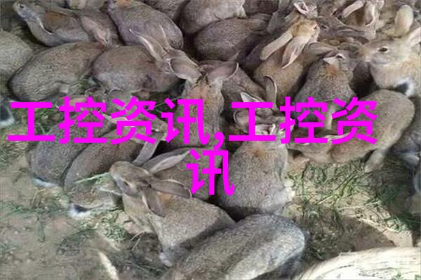 干燥设备高效脱水系统