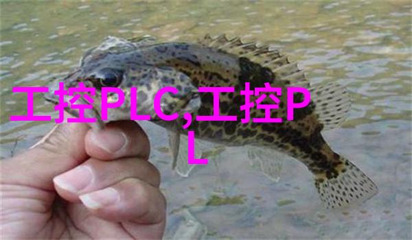 轮胎粉碎设备我是如何把旧轮胎变成新玩意的