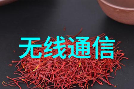 设施未来城市的智慧生命线