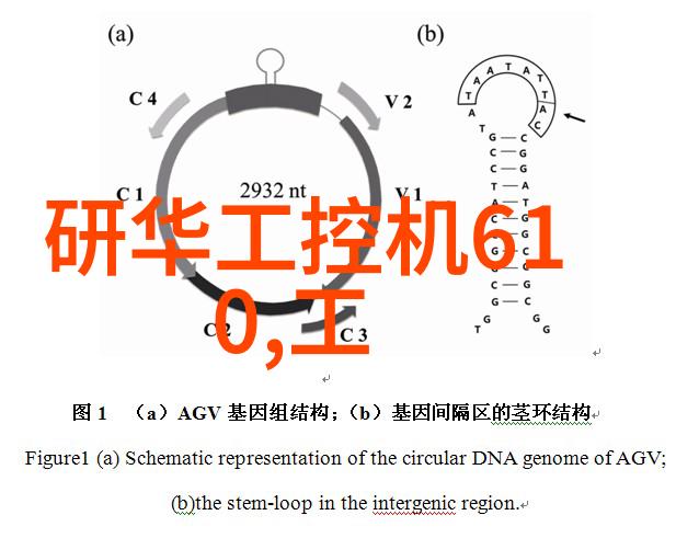 新兴技术如何影响药品外包装机械的行业趋势