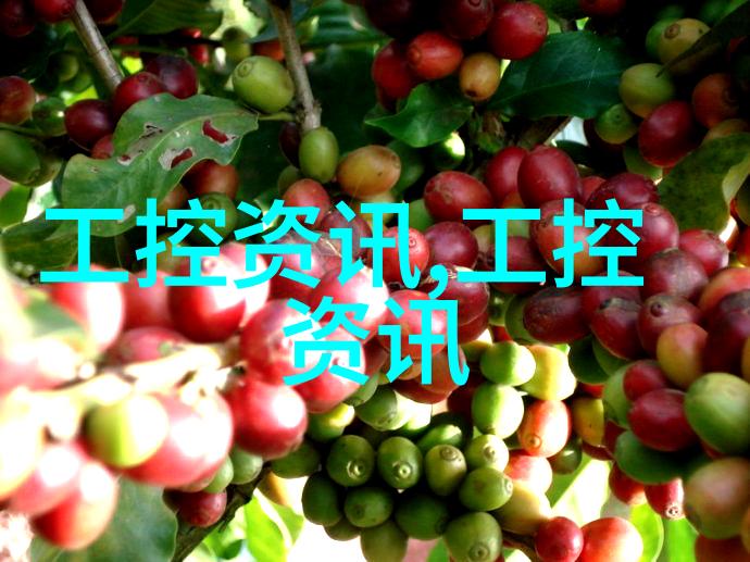 xxx228数字化足迹中的隐秘故事