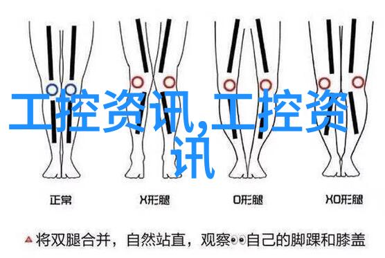 芯片制造我的小小奇迹工厂