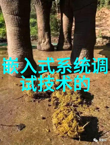 三羊马股份守护财富之翼引领产业腾飞