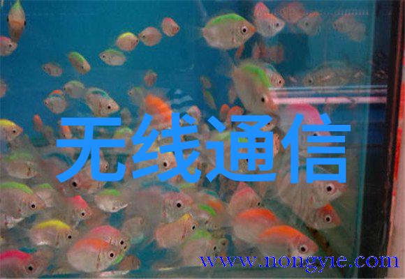 国标规范下的PE管壁厚标准探究从100级到实用应用