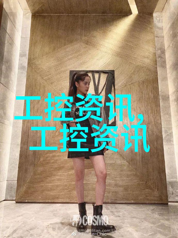 工业生产中的关键技术高效流水线输送设备的运用与发展