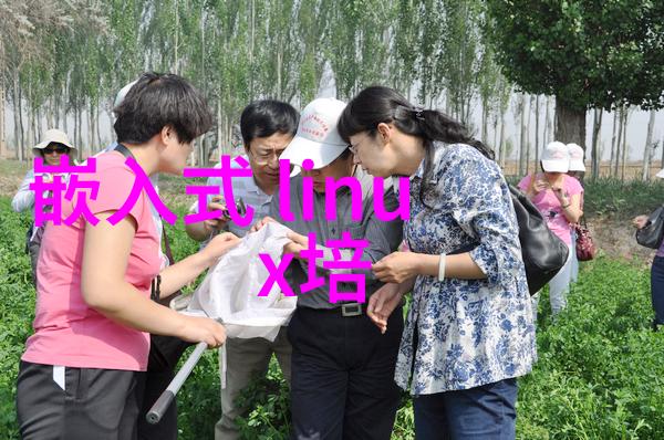 全屋优品汇集家居美学的完美归宿