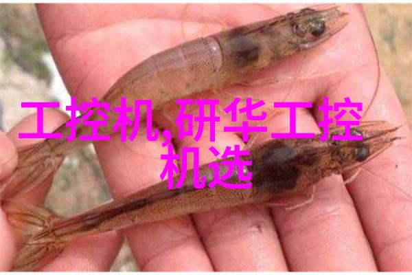 江苏波纹填料技术参数我来告诉你波纹填料的秘密