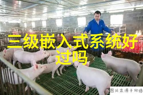 纱网与波纹的交响织梦未来材料的奇迹