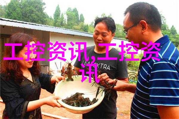 凌华科技发布社会应用嵌入式开发成果台北总公司2006年度一月至十月营收公布