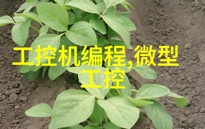 百战沙场碎铁衣纪念那些未曾归来的英雄