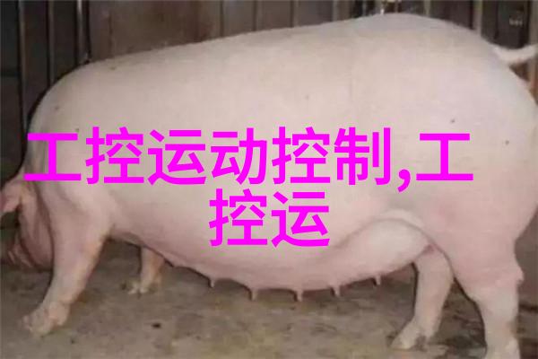 室内美学之手装修设计师的创意与智慧