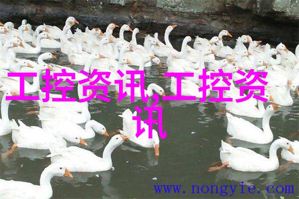 水质检测常规9项揭秘必检项目