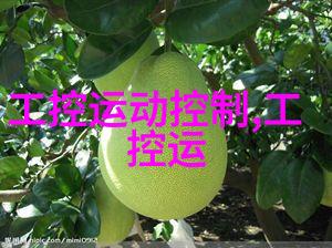 如何设计一个高效的aspen固定床反应器以适应不同规模的生产需求