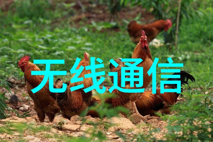 专利之梦从零到英雄的逆袭