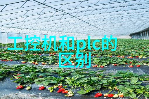 药品质量控制的精准工具探索制药行业中的关键仪器