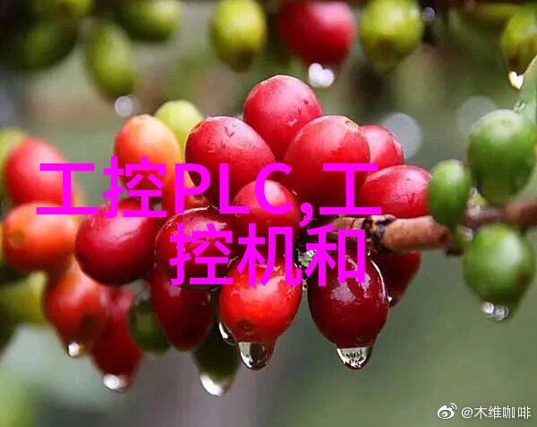 微波干燥技术革新高效节能的现代食品处理设备