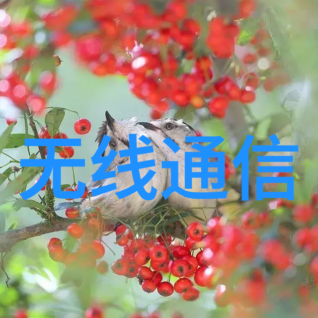家庭饮用水质量检查指南确保每一口清澈纯净
