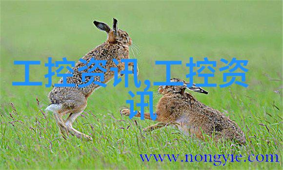 中国自主研发的5纳米光刻机技术领先全球半导体制造