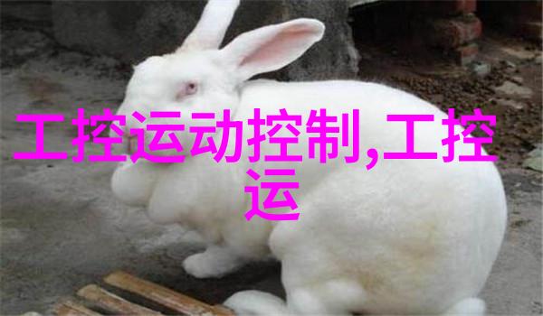 混合搅拌设备高效混合技术的先进工具