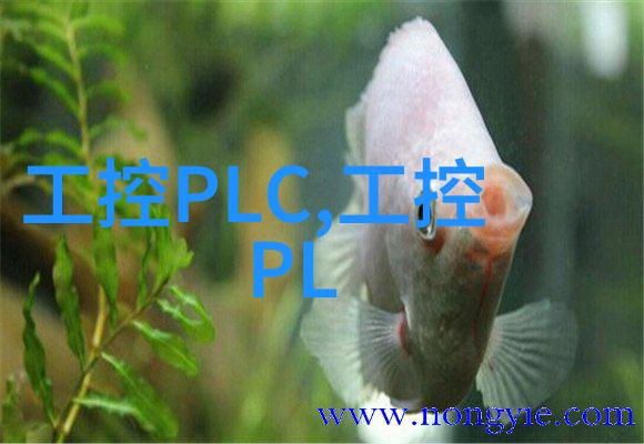 汽车之翼从零到英雄的汽配梦想起航