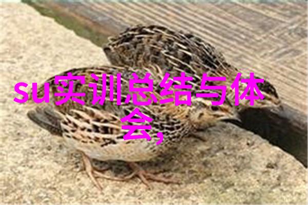 寒冰之刃低温等离子灭菌器的奇妙征程