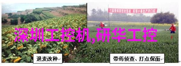 生物学-探索生命边界膜及膜组件的奇妙世界