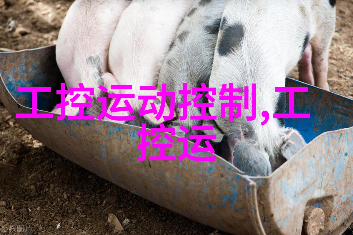 新手装修者应该如何规划布局以最大化展示饰面的美丽效果
